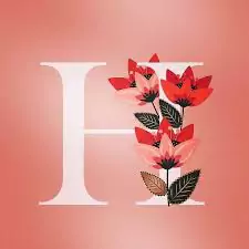 h name dp